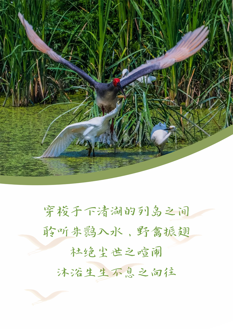 ������إ �����ӯ�� | �������Լ ��إ�ص���